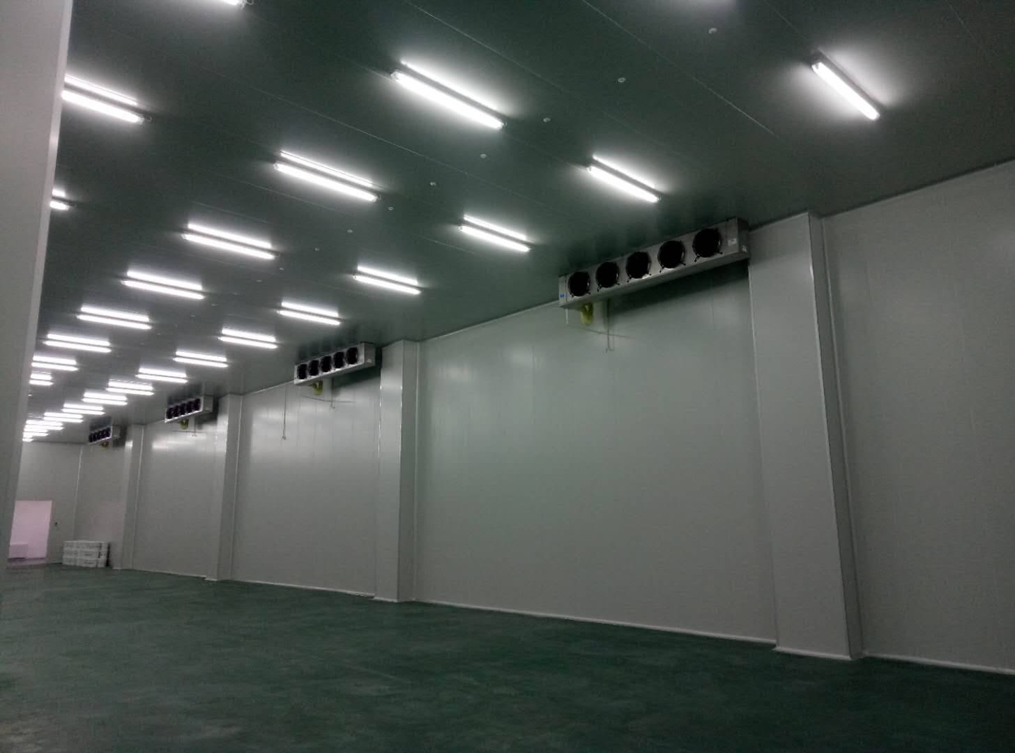 建造-35℃～-40℃急凍庫設(shè)計費用價格多少錢？