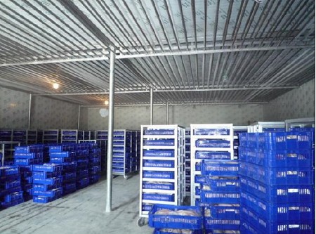 -18~-23℃冷凍庫(kù)哪種制冷方式好？（冷風(fēng)機(jī)，鋁排）