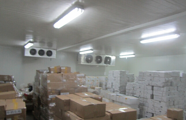 　-18℃海產品冷凍庫安裝，700平冷凍庫造價