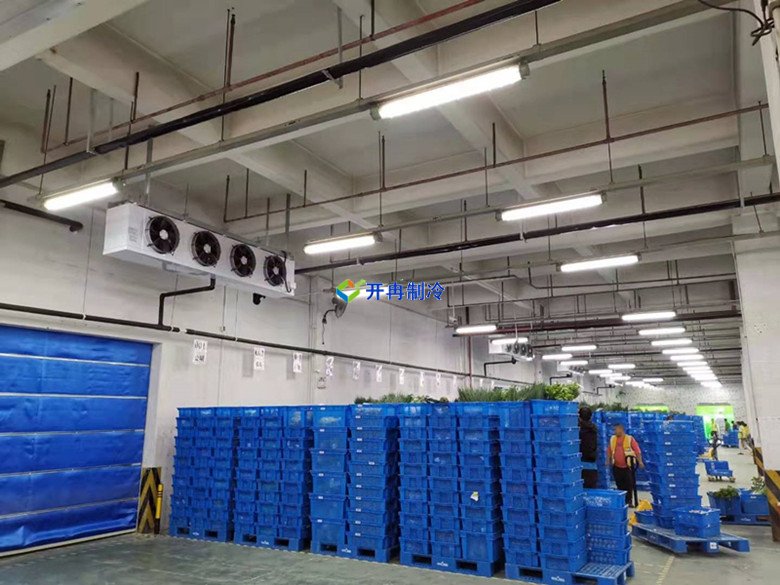 5000平米生鮮電商冷庫設(shè)計建造標準造價核算
