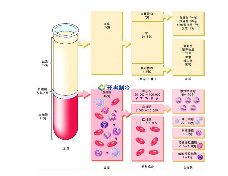 -30℃～-80℃血漿蛋白低溫冷凍庫規范，冷庫安裝價格